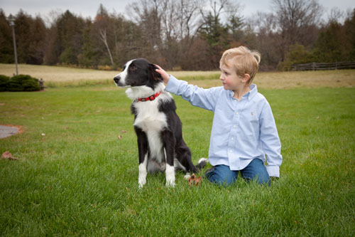 A Photo of a Boy and his Puppy